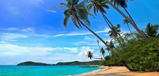 جزيرة ناورو.. دولة الأحلام التي دمرها سكانها صورة رقم 5