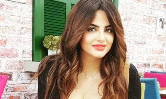 باسكال مشعلاني تكشف: سبب واحد يجعلني أعتزل الغناء صورة رقم 4 باسكال مشعلاني تكشف: سبب واحد يجعلني أعتزل الغناء صورة رقم 4