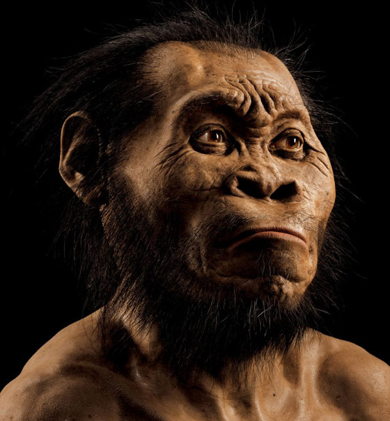 ما هي أنواع البشر الـ8 التي انقرضت؟ وكيف استطاع العلماء تحديدها؟ صورة رقم 5