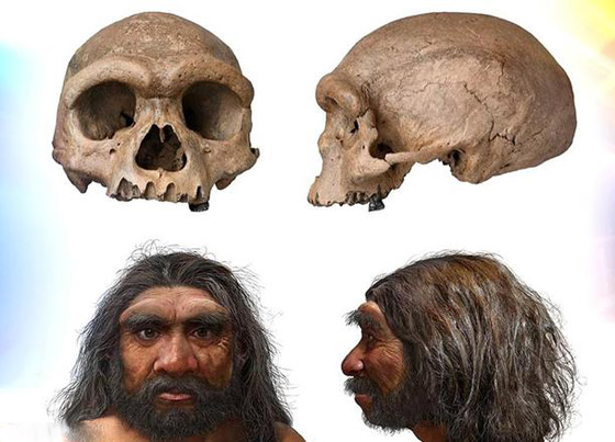 ما هي أنواع البشر الـ8 التي انقرضت؟ وكيف استطاع العلماء تحديدها؟ صورة رقم 9