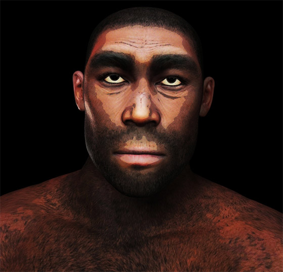 ما هي أنواع البشر الـ8 التي انقرضت؟ وكيف استطاع العلماء تحديدها؟ صورة رقم 1