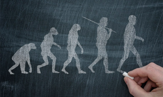 ما هي أنواع البشر الـ8 التي انقرضت؟ وكيف استطاع العلماء تحديدها؟ صورة رقم 4