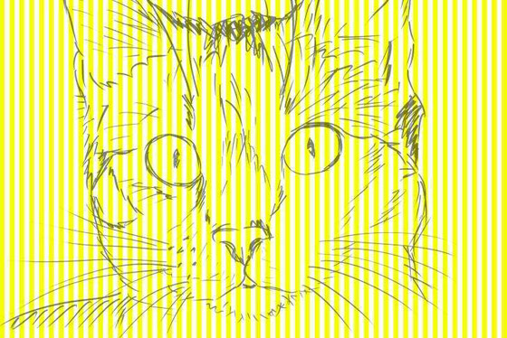 الخداع البصري.. واختبارات تكشف عن سهولة الوقوع فيه صورة رقم 3