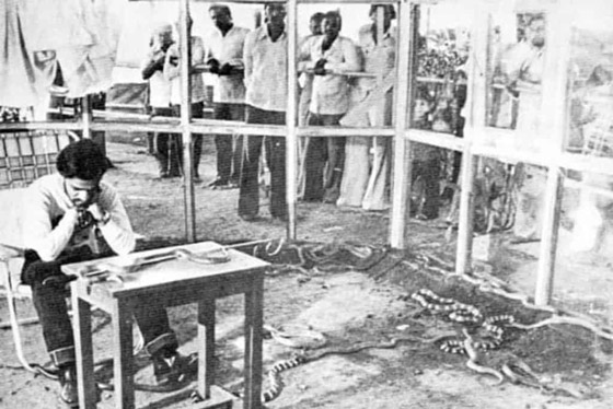 تعرفوا إلى 10 أشخاص حطموا أرقاما قياسية غريبة لم تسمعوا بها من قبل! صورة رقم 10