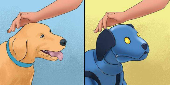 الممرض الآلي.. واختراعات مستقبلية بديلة لخدمة البشرية صورة رقم 4