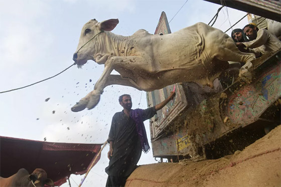 أبرز صور الأسبوع: إليكم أهم الأحداث المصورة من مختلف زوايا العالم صورة رقم 9 أبرز صور الأسبوع: إليكم أهم الأحداث المصورة من مختلف زوايا العالم صورة رقم 9
