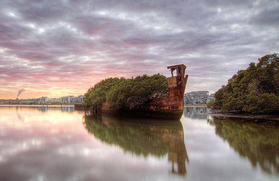 بالصور: تعرفوا إلى السفينة المهجورة التي حوّلتها الطبيعة إلى غابة عائمة صورة رقم 1
