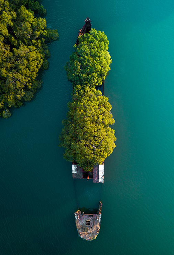 بالصور: تعرفوا إلى السفينة المهجورة التي حوّلتها الطبيعة إلى غابة عائمة صورة رقم 4