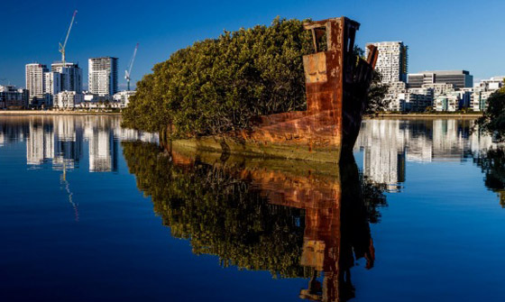 بالصور: تعرفوا إلى السفينة المهجورة التي حوّلتها الطبيعة إلى غابة عائمة صورة رقم 5