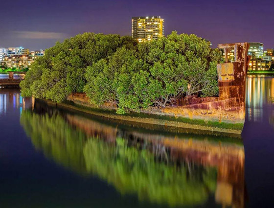 بالصور: تعرفوا إلى السفينة المهجورة التي حوّلتها الطبيعة إلى غابة عائمة صورة رقم 6