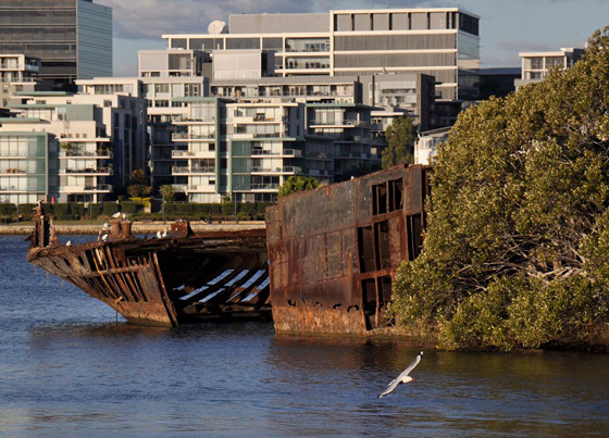 بالصور: تعرفوا إلى السفينة المهجورة التي حوّلتها الطبيعة إلى غابة عائمة صورة رقم 7