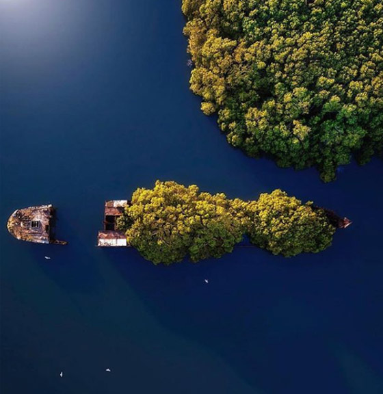 بالصور: تعرفوا إلى السفينة المهجورة التي حوّلتها الطبيعة إلى غابة عائمة صورة رقم 9