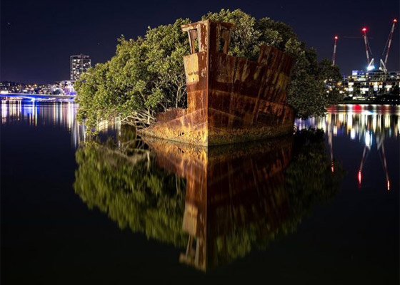بالصور: تعرفوا إلى السفينة المهجورة التي حوّلتها الطبيعة إلى غابة عائمة صورة رقم 11