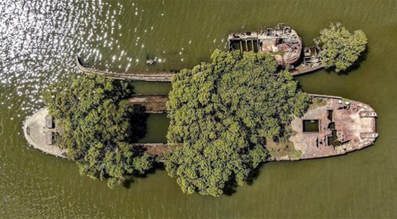 بالصور: تعرفوا إلى السفينة المهجورة التي حوّلتها الطبيعة إلى غابة عائمة صورة رقم 12