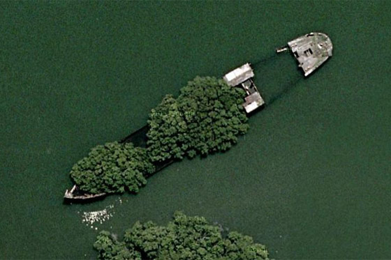 بالصور: تعرفوا إلى السفينة المهجورة التي حوّلتها الطبيعة إلى غابة عائمة صورة رقم 13