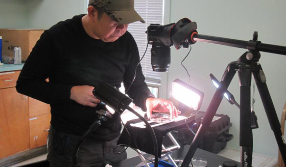 غابة السرو القديمة.. غابات غريبة قديمة تحت الماء صورة رقم 7