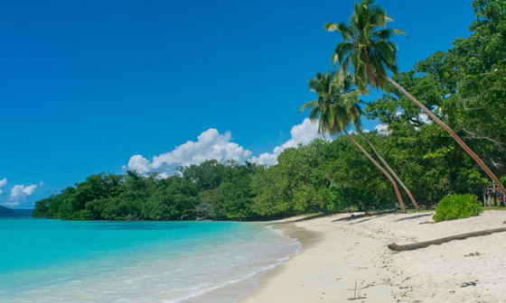 هاربون وساسة عرب يشترون جواز سفر (فانواتو).. هوية للبيع لدولة غير معروفة صورة رقم 5