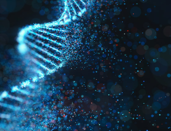 دراسة فريدة تفجر مفاجأة عن علاقة حمضنا النووي بأسلافنا المنقرضين! صورة رقم 4