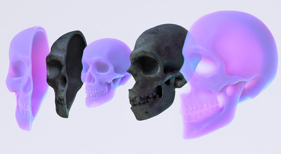 دراسة فريدة تفجر مفاجأة عن علاقة حمضنا النووي بأسلافنا المنقرضين! صورة رقم 5