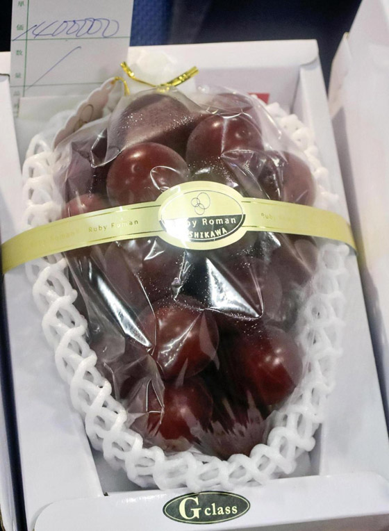 فيديو وصور: بيع عنقود عنب ياباني بسعر خيالي! صورة رقم 5 فيديو وصور: بيع عنقود عنب ياباني بسعر خيالي! صورة رقم 5