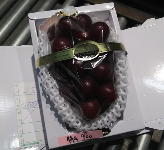 فيديو وصور: بيع عنقود عنب ياباني بسعر خيالي! صورة رقم 6 فيديو وصور: بيع عنقود عنب ياباني بسعر خيالي! صورة رقم 6