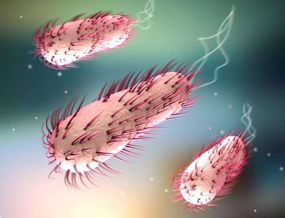 كهرباء المخ.. وأغرب الحقائق عن الجسم البشري صورة رقم 13