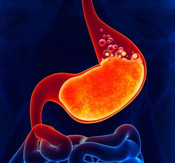 كهرباء المخ.. وأغرب الحقائق عن الجسم البشري صورة رقم 3