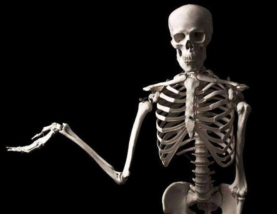 كهرباء المخ.. وأغرب الحقائق عن الجسم البشري صورة رقم 9