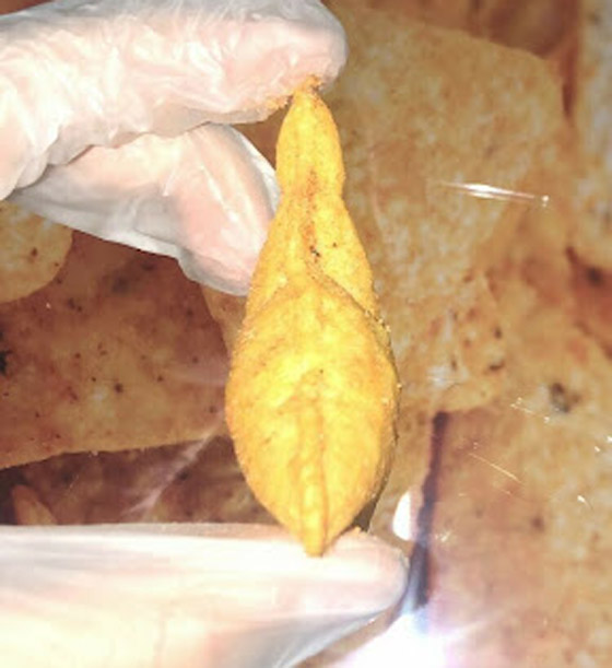 حبة دوريتوس غريبة تشعل الإنترنت وتلقى عرضا ببيعها بـ100 ألف دولار صورة رقم 5