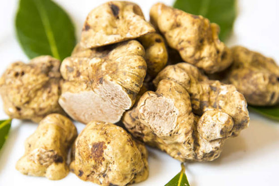 بالصور: تعرفوا إلى أغلى 15 مادة في العالم وأسعارها الخيالية صورة رقم 1