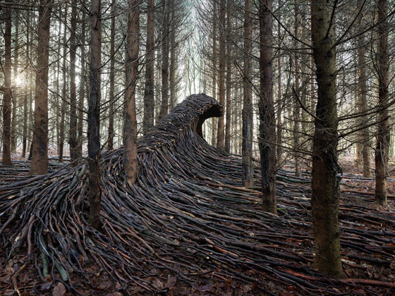 كأنها تسونامي يضرب الغابة.. ما حكاية هذه الموجات في الغابة في ألمانيا؟ صورة رقم 1