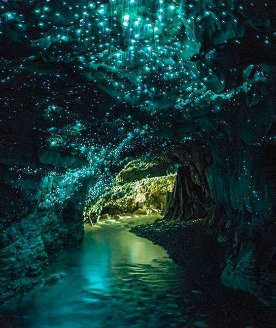 نجوم كونية مضيئة داخل كهوف غابة بدائية لم يمسها البشر تصدم العلماء صورة رقم 4