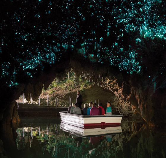 نجوم كونية مضيئة داخل كهوف غابة بدائية لم يمسها البشر تصدم العلماء صورة رقم 7