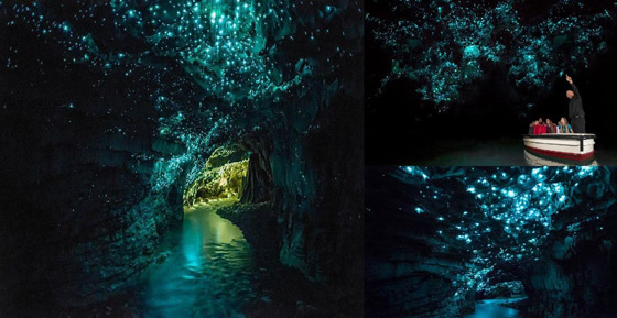 نجوم كونية مضيئة داخل كهوف غابة بدائية لم يمسها البشر تصدم العلماء صورة رقم 13