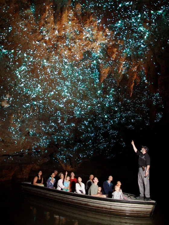 نجوم كونية مضيئة داخل كهوف غابة بدائية لم يمسها البشر تصدم العلماء صورة رقم 14