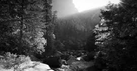 ينجيلاب.. جزيرة غريبة لا يرى سكانها إلا باللون الأبيض والأسود صورة رقم 3