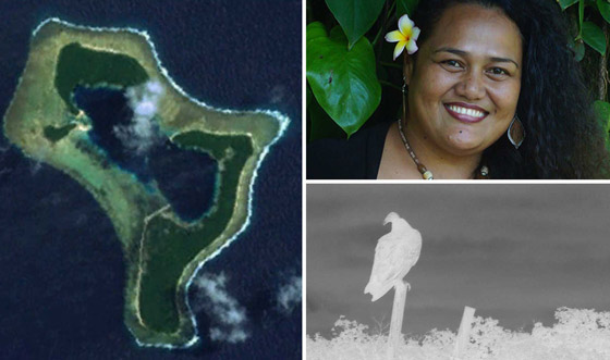 ينجيلاب.. جزيرة غريبة لا يرى سكانها إلا باللون الأبيض والأسود صورة رقم 7