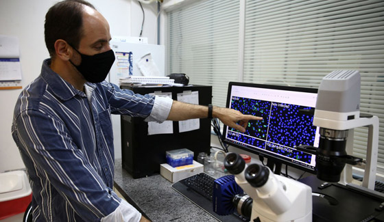 مفاجأة من العيار الثقيل.. سم أفعى برازيلية قد يحمل العلاج لكورونا صورة رقم 5