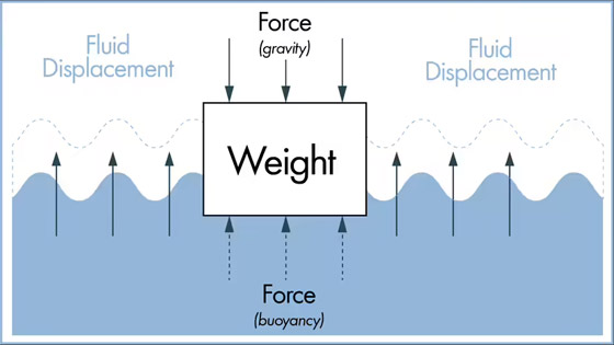10 قوانين ونظريات علمية تفسّر عمل الكون عبر شرح الطريقة والسبب صورة رقم 9