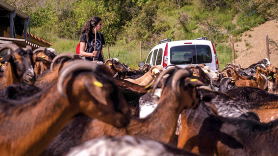 في إسبانيا.. مدرسة تعلم النساء أصول 