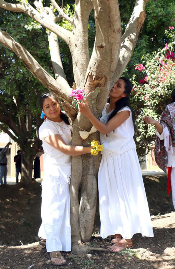 فيديو وصور :نساء 