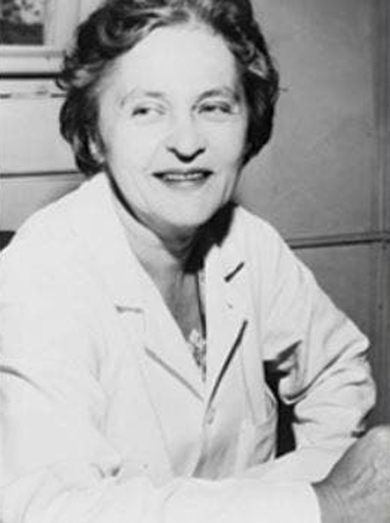 ماسحات زجاج السيارات.. إليكم 10 اختراعات وابتكارات من صنع النساء صورة رقم 2