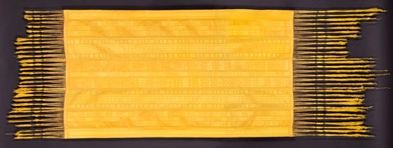 معرض نادر لأقمشة حرير العنكبوت بلندن: استغرق 8 سنوات ومليوني عنكبوت صورة رقم 5