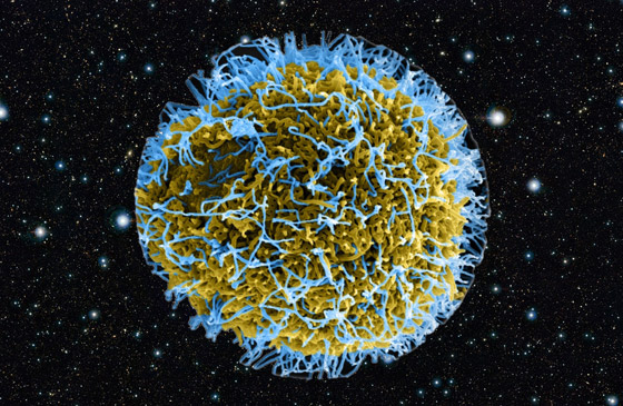 عالم فلك أمريكي يطلق تنبيها.. فيروسات محتملة خارج كوكب الأرض! صورة رقم 3