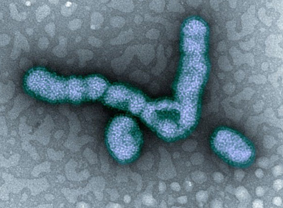 عالم فلك أمريكي يطلق تنبيها.. فيروسات محتملة خارج كوكب الأرض! صورة رقم 5