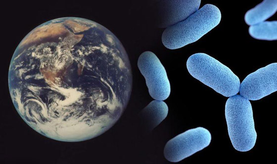 عالم فلك أمريكي يطلق تنبيها.. فيروسات محتملة خارج كوكب الأرض! صورة رقم 6