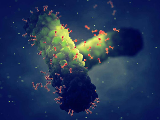 عالم فلك أمريكي يطلق تنبيها.. فيروسات محتملة خارج كوكب الأرض! صورة رقم 7