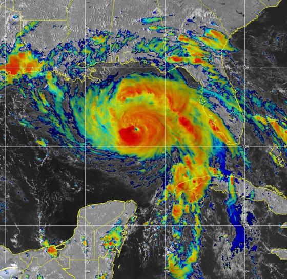 تتحدى إعصار آيدا لتلتقي بفتى أحلامها.. والنتيجة؟ فيديو وصور : صورة رقم 5
