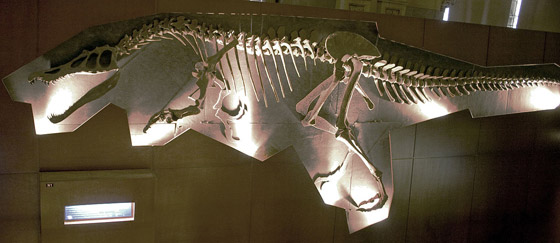 أسنان كبيرة وفك قوي.. ليبي يعثر على ديناصور بالصحراء صورة رقم 5