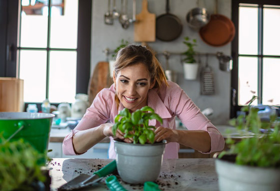 حرب علمية لم تحسم نتيجتها بعد.. هل تستطيع النباتات أن “تستمع” إلينا وتتواصل فيما بينها؟ صورة رقم 3